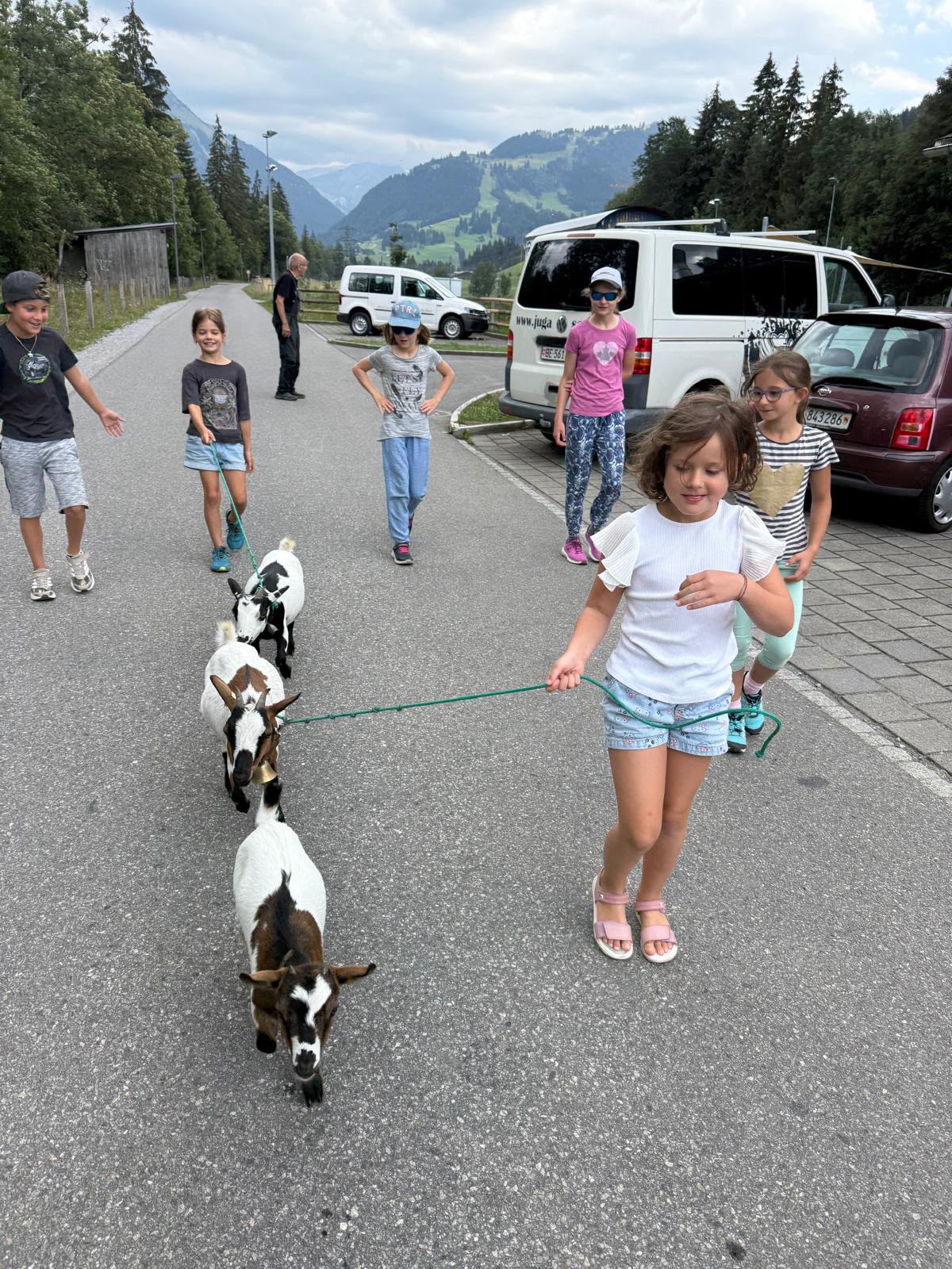 Kleintierzucht 