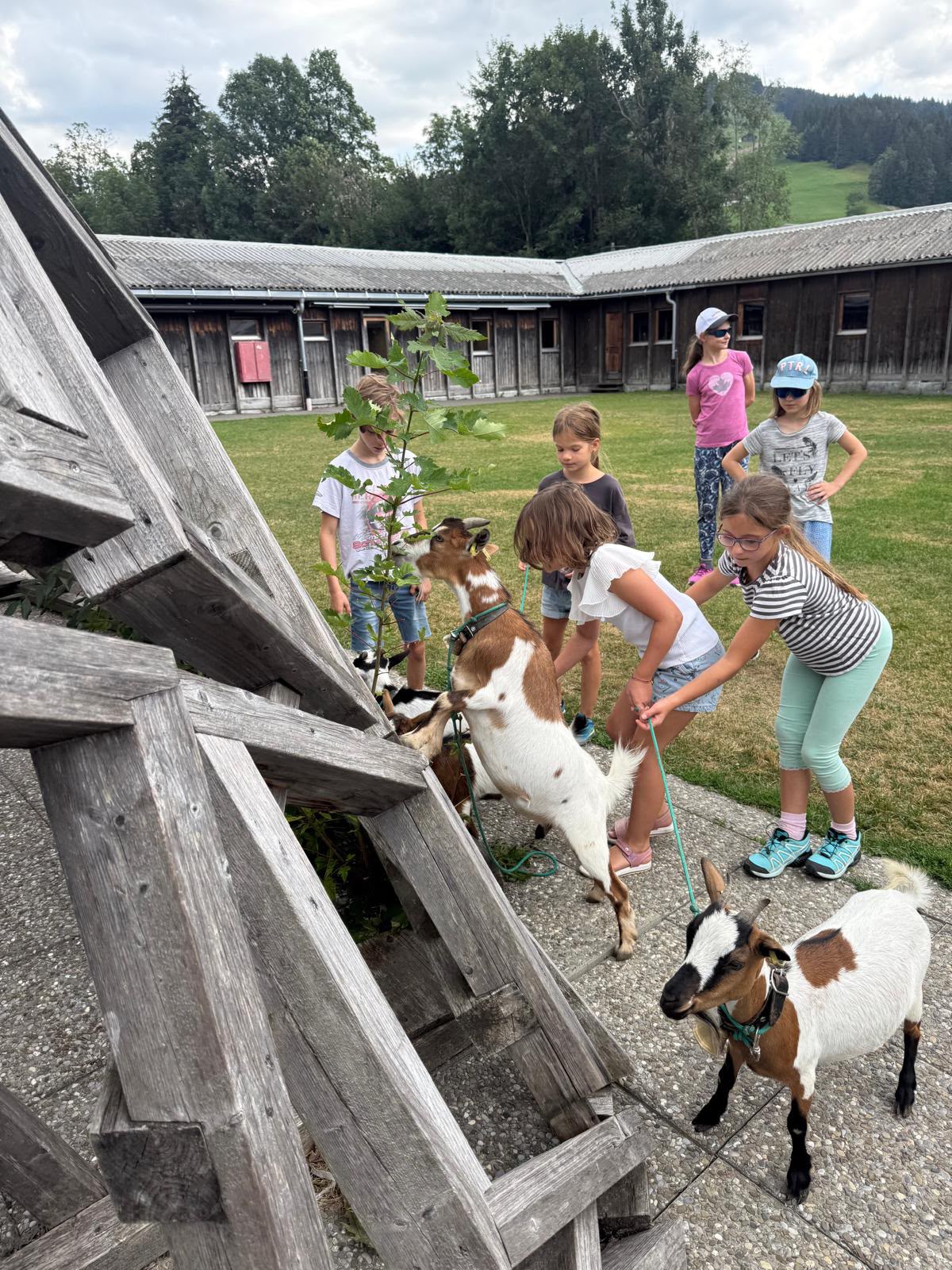 Kleintierzucht 