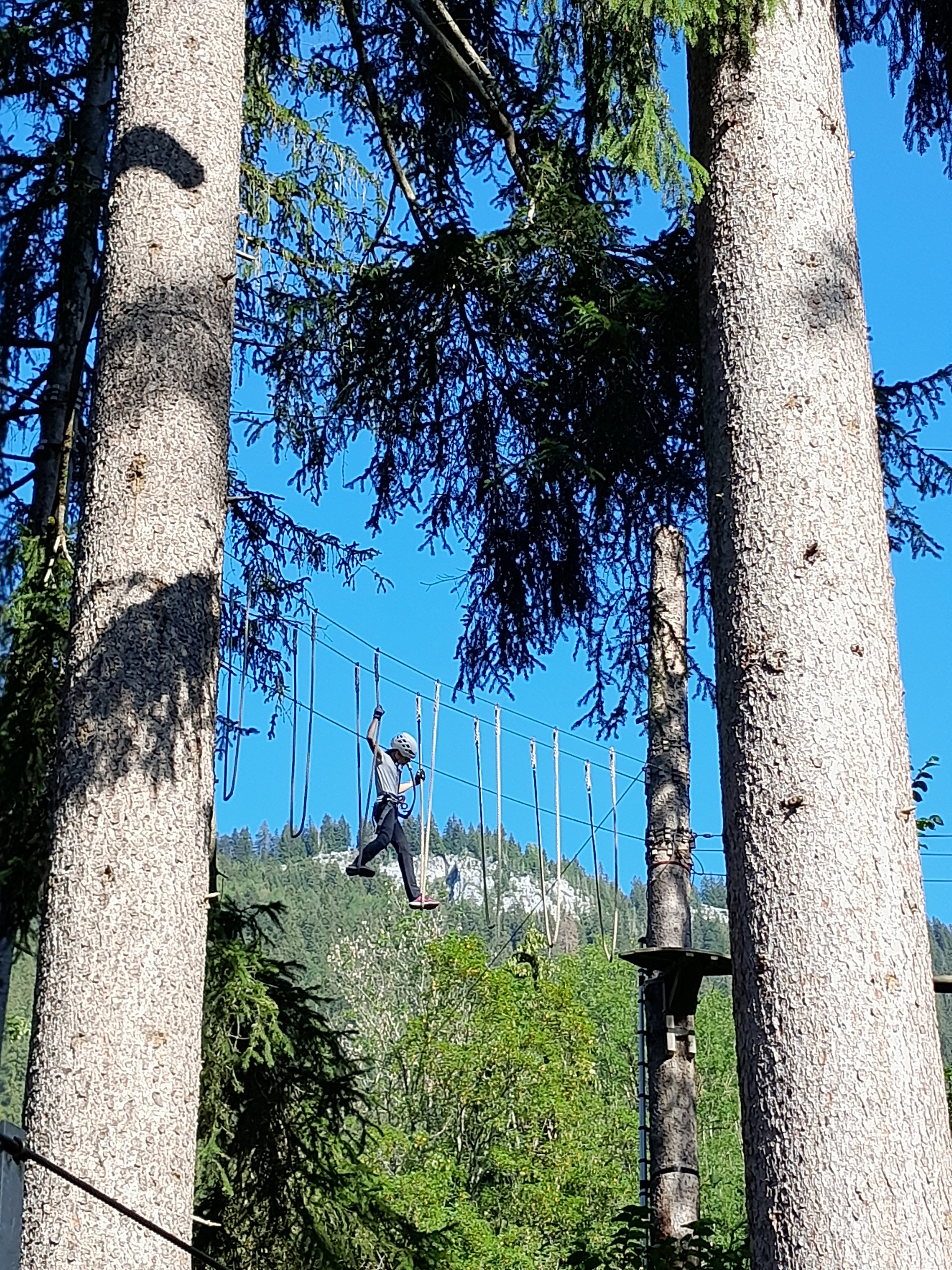 Seilpark 