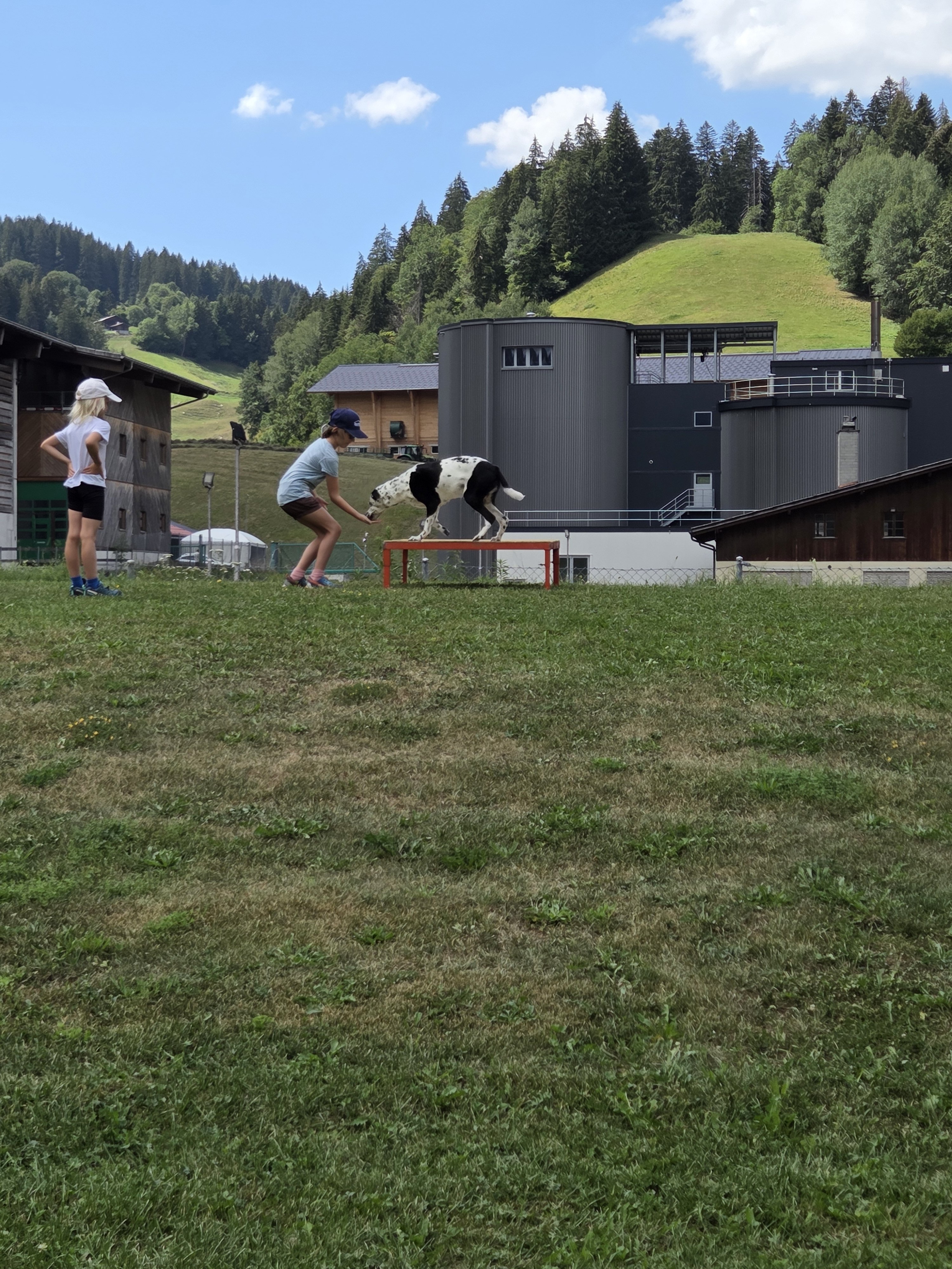 Hund und Mensch 