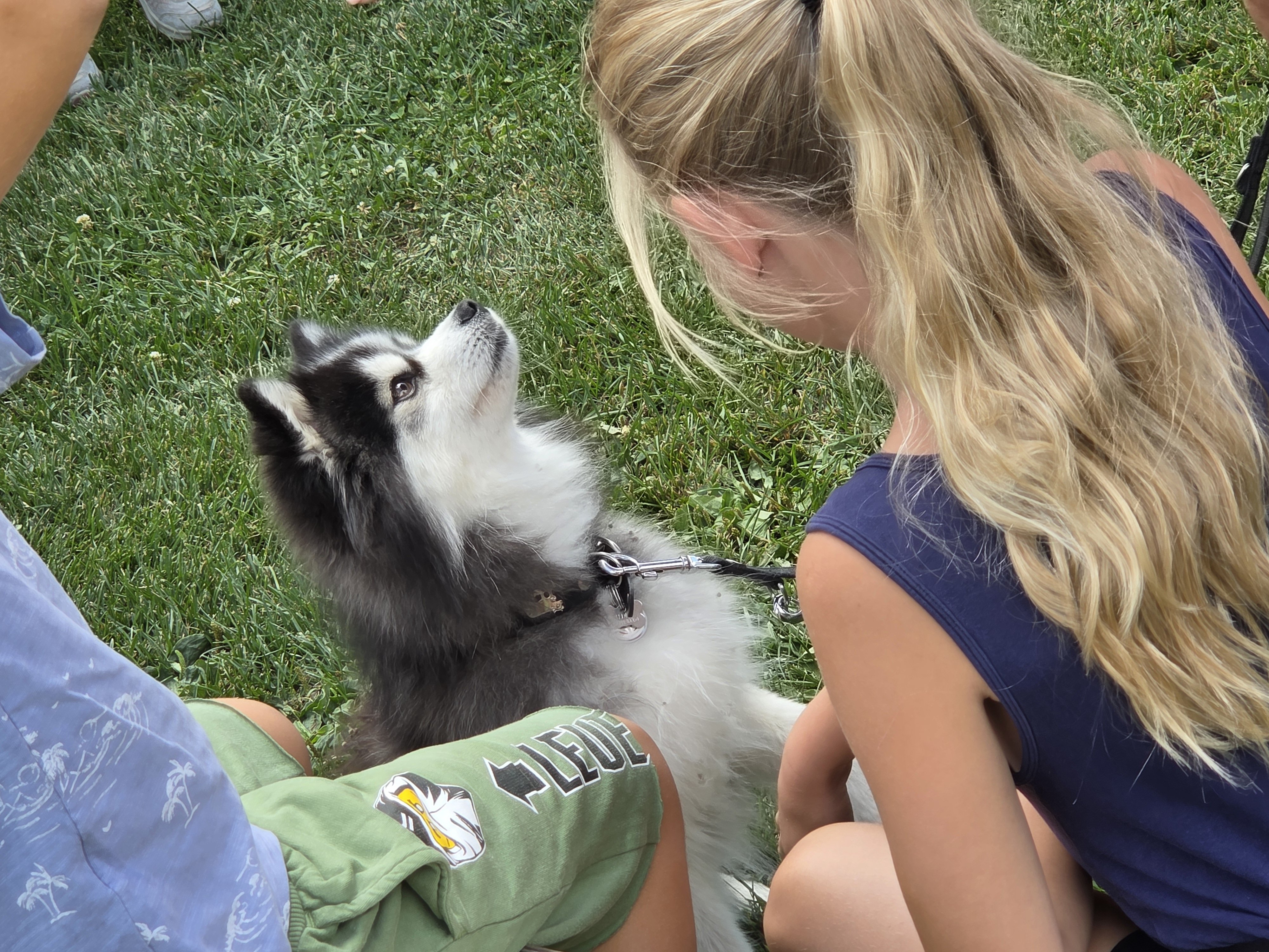 Hund und Mensch 