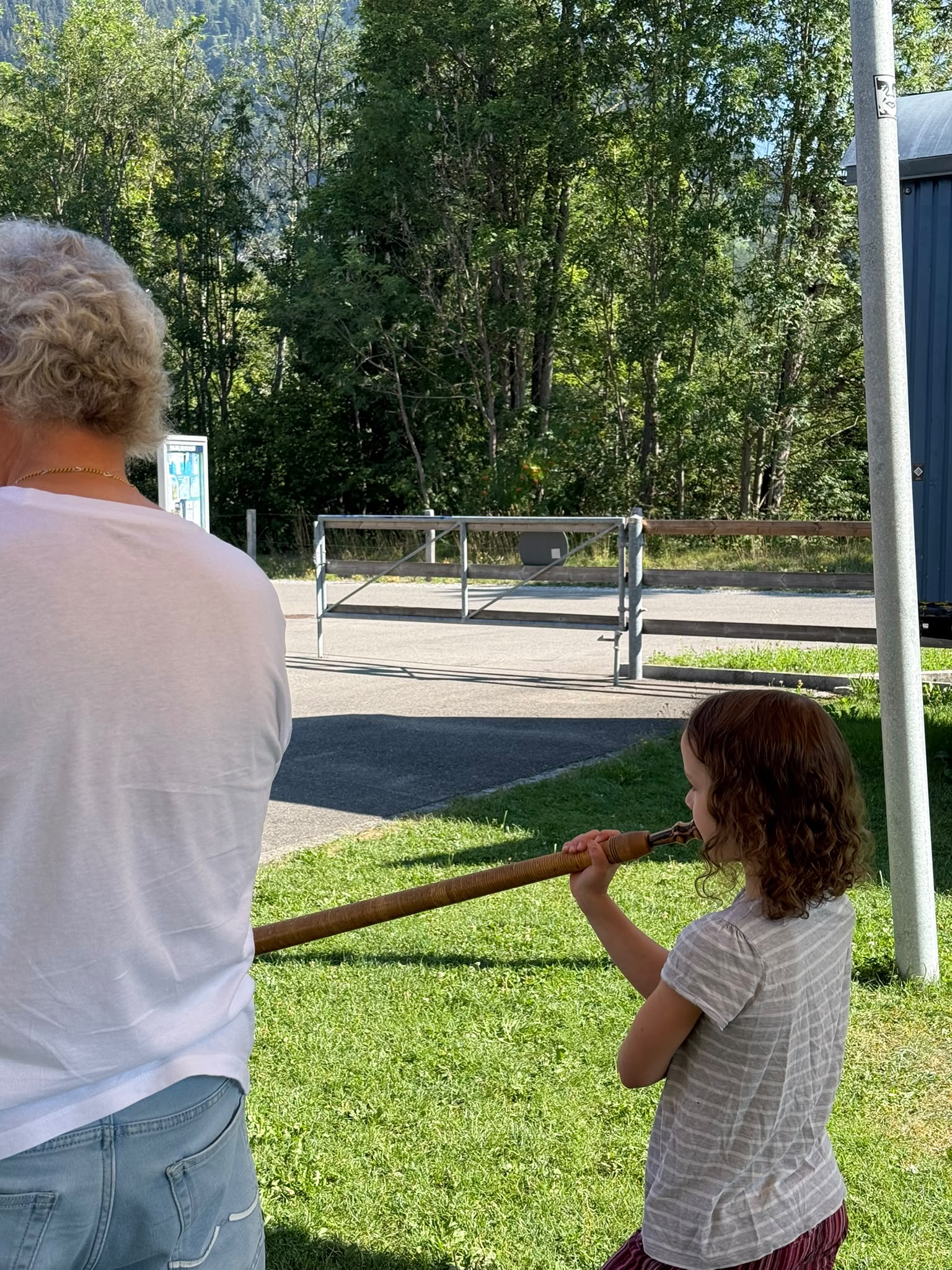Alphorn 